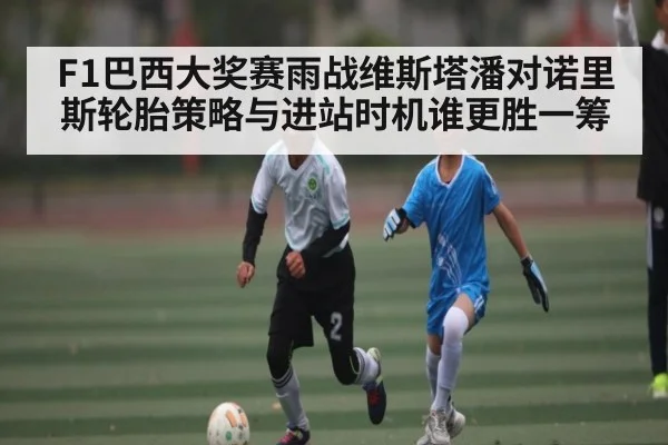 F1巴西大奖赛雨战维斯塔潘对诺里斯轮胎策略与进站时机谁更胜一筹